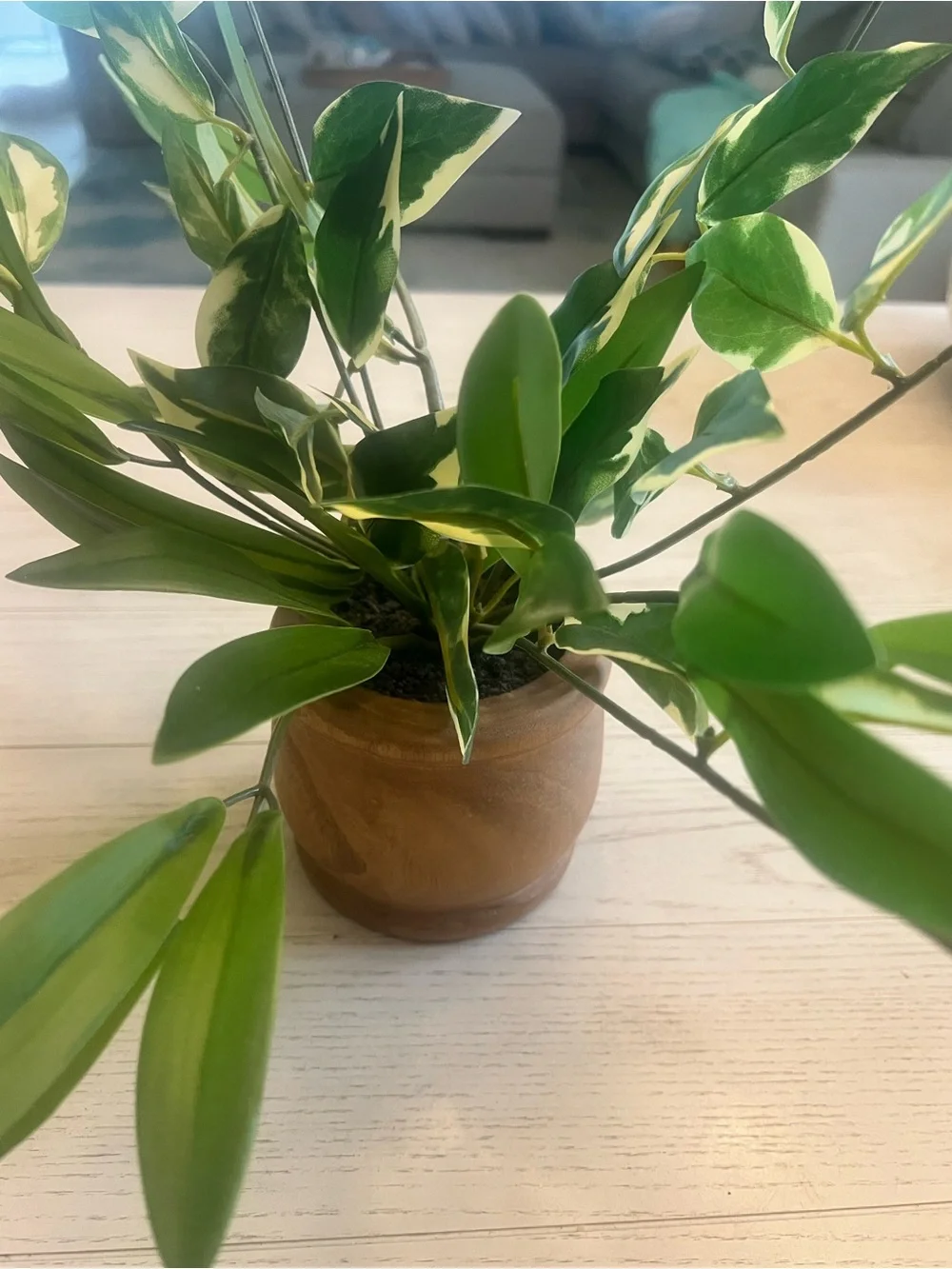 Green Lifelike Variegated Faux Plant in Wooden Pot